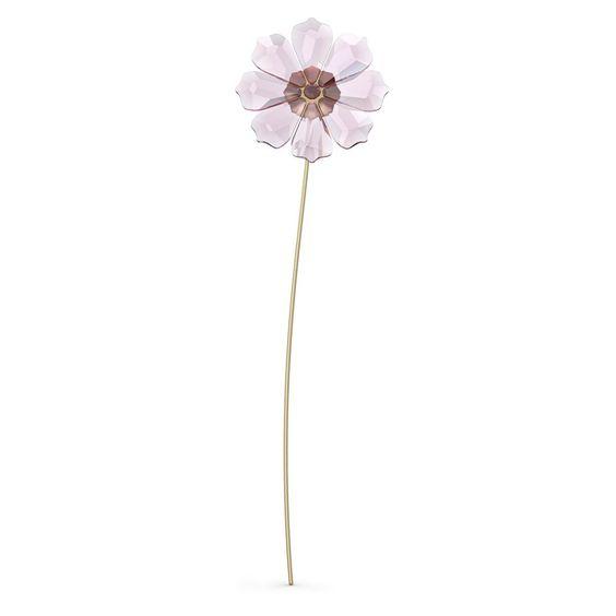 5557801 UniSex Home accessory