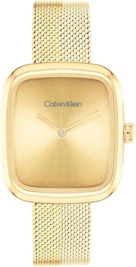 Calvin Klein 25100099 Quartz Ladies Watch