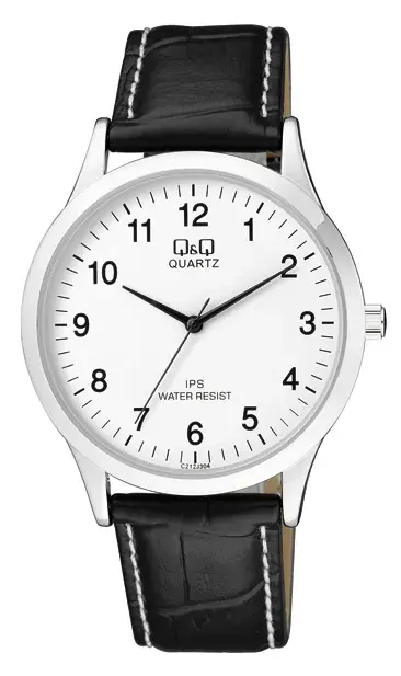 Q&Q C212J304Y QUARTZ Men Watch