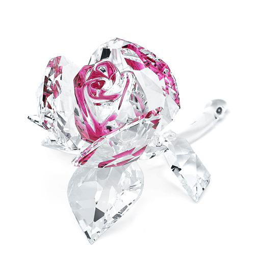 5248878 UniSex accessory